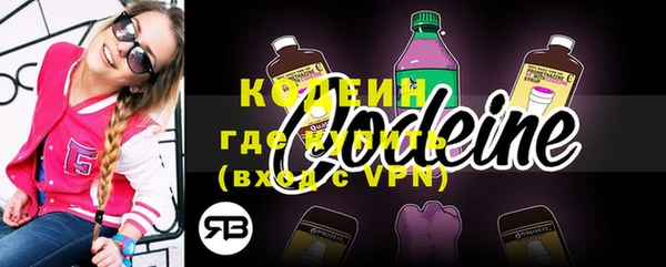 скорость Каменка