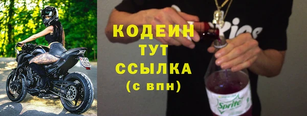 скорость Каменка