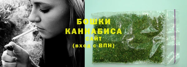 скорость Каменка