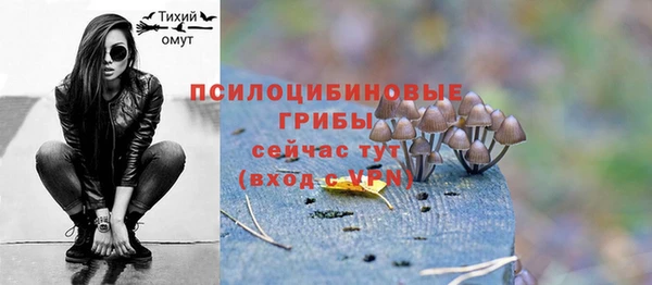 трава Каменногорск