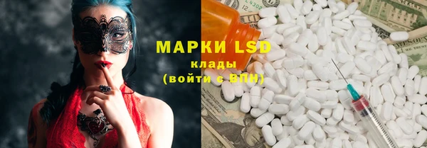 скорость Каменка