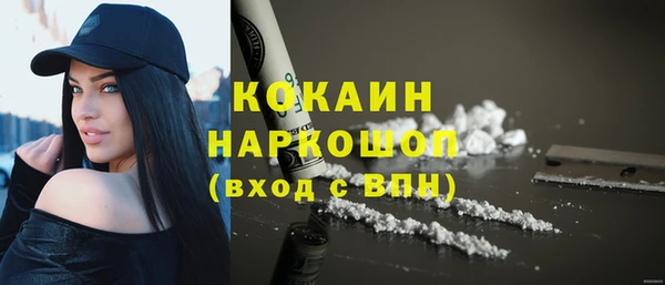 скорость Каменка