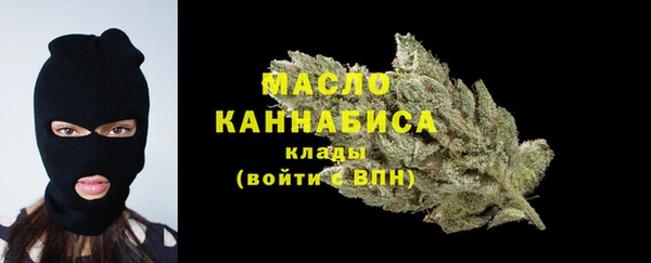 скорость Каменка