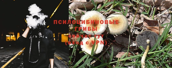 тгк Каменск-Шахтинский