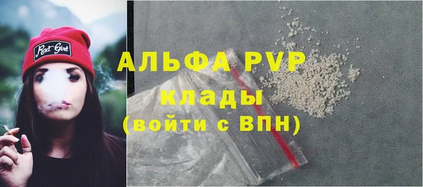 скорость Каменка