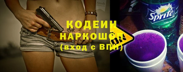 скорость Каменка